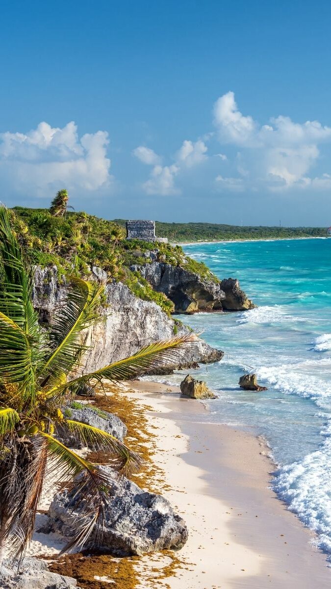 Ruines mayas de Tulum sur la falaise avec palmier et vue sur la mer des Caraïbes