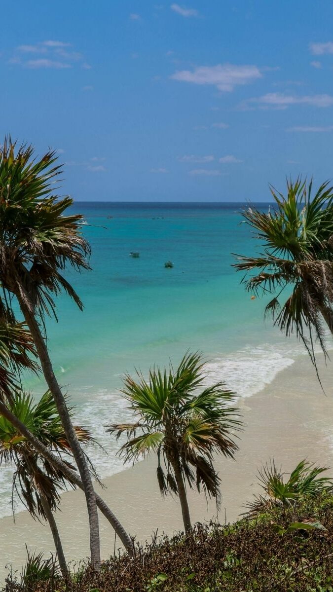 Plage paradisiaque bordée de grands palmiers avec mer turquoise sur la Riviera Maya
