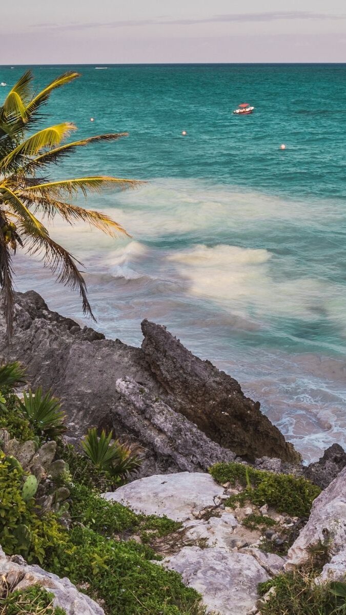 Côte rocheuse de Tulum avec palmier et mer turquoise au crépuscule