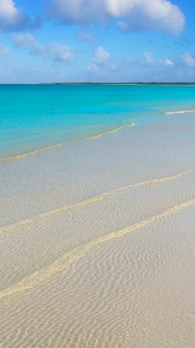 Plage de sable blanc immaculée avec eaux turquoise cristallines et oiseaux sur l'île de Holbox