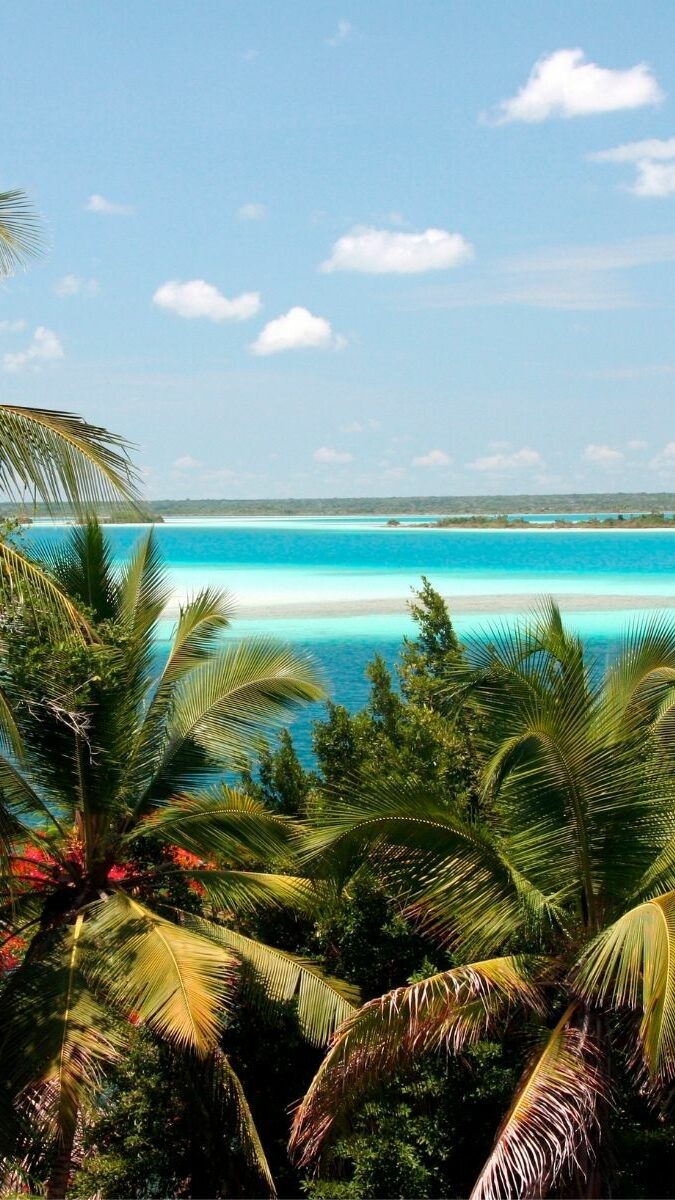 Vue sur la lagune de Bacalar à travers les palmiers et la végétation tropicale luxuriante