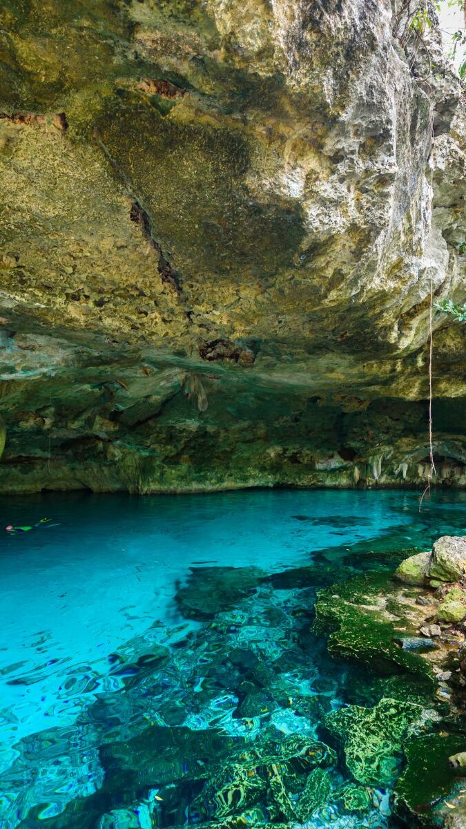 Cénote à ciel ouvert avec eau turquoise cristalline, racines d'arbres et nageurs