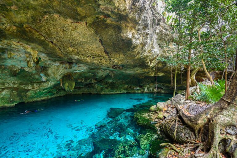 Cénote à ciel ouvert avec eau turquoise cristalline, racines d'arbres et nageurs
