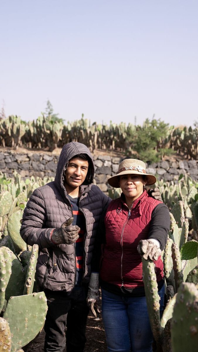 Couple posant dans un champ de cactus nopales près de Teotihuacán au Mexique